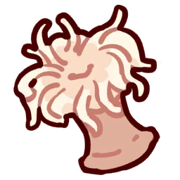 Anemone