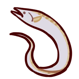Beltfish