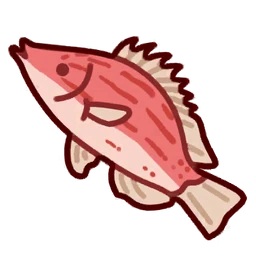 Bodianus rubrisos
