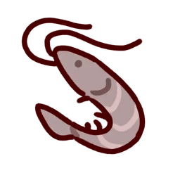 Chinese White Shrimp