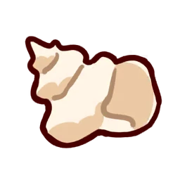Conch