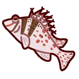 Dwarf Hawkfish