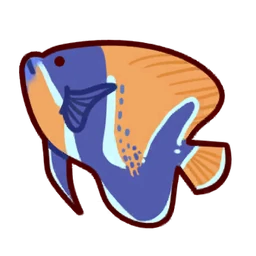 Majestic angelfish