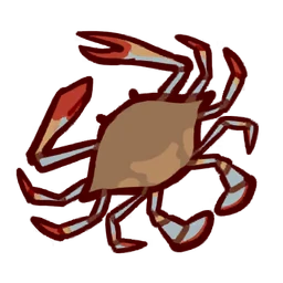 Mud Crab