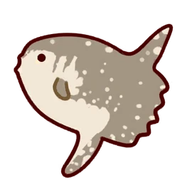 Ocean Sunfish