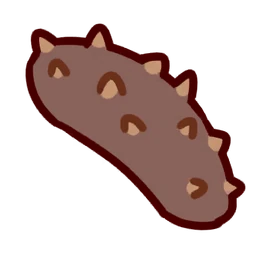 Sea Cucumber