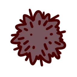 Sea Urchin