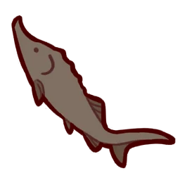 Sturgeon